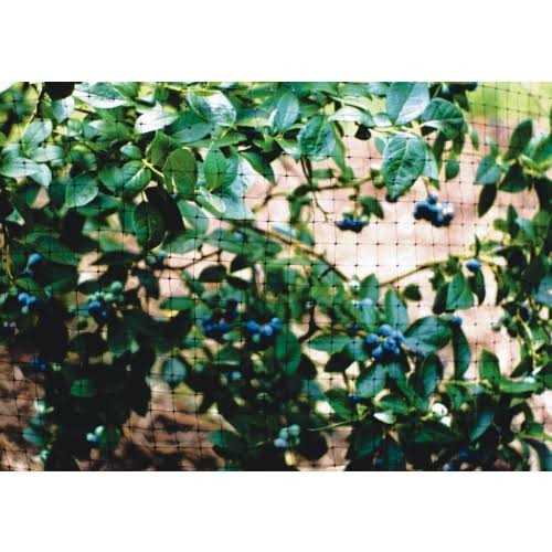 Tenax 5A030001 Guardian Warning Barrier - Inhomebuy