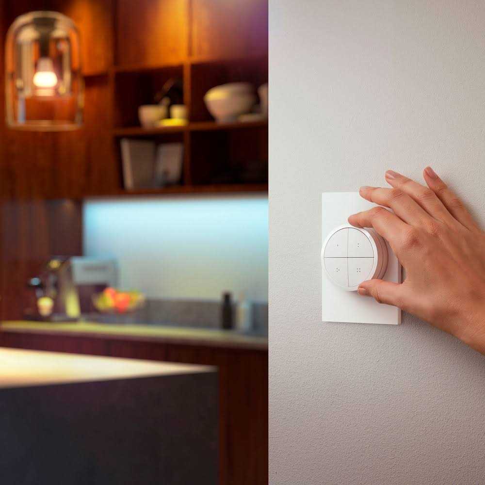 Philips Hue Smart Plug - Inhomebuy
