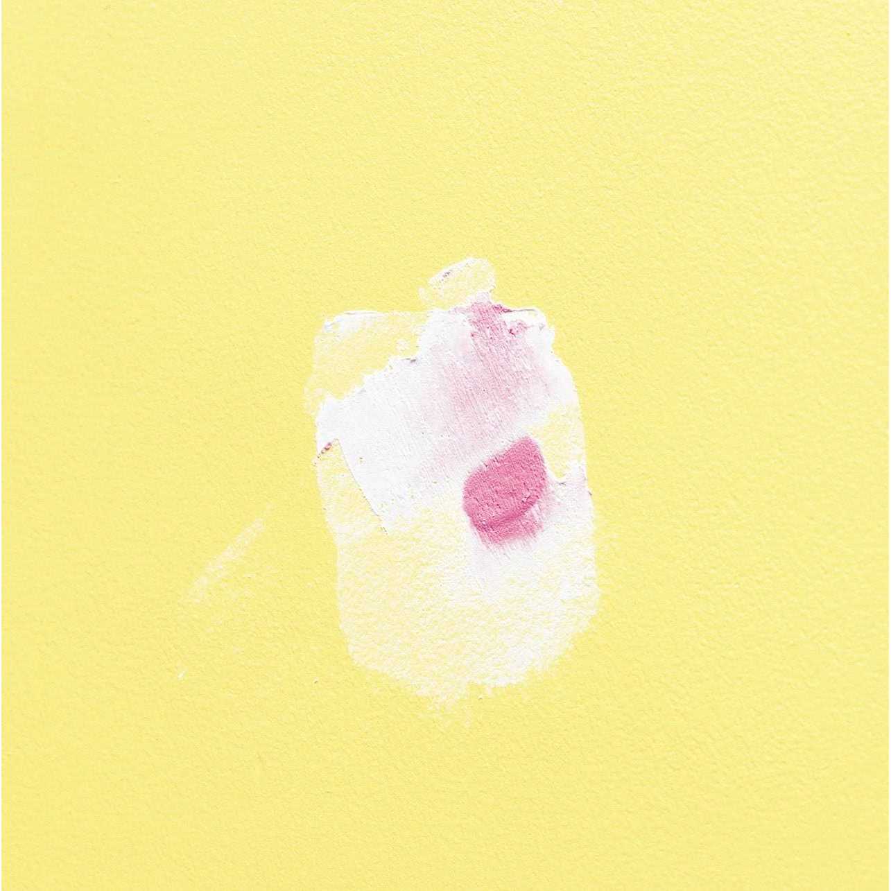 DAP DryDex Spackling - Inhomebuy