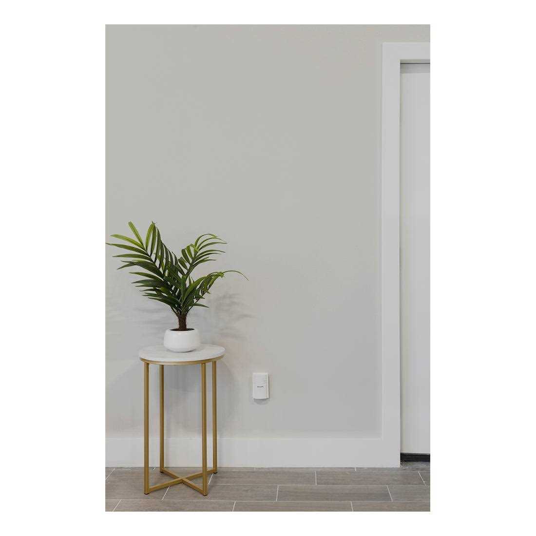 Philips Outdoor Lighting Control Plug-in with Wireless Remote 80ft. Range - Inhomebuy