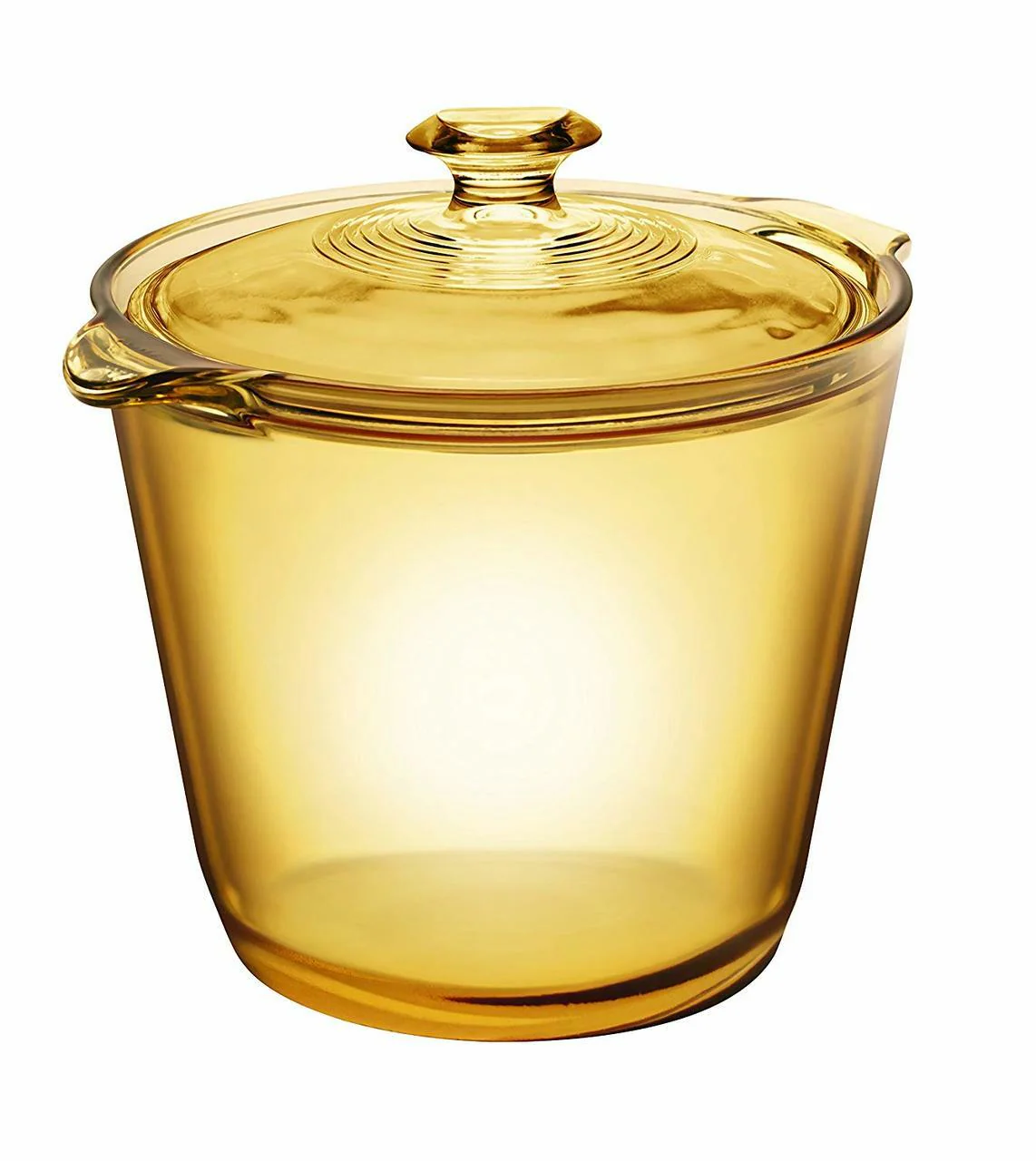 Visions FLAIR Glass Stew Pot |VSF12STW| 1.2L with Glass Cover - Inhomebuy