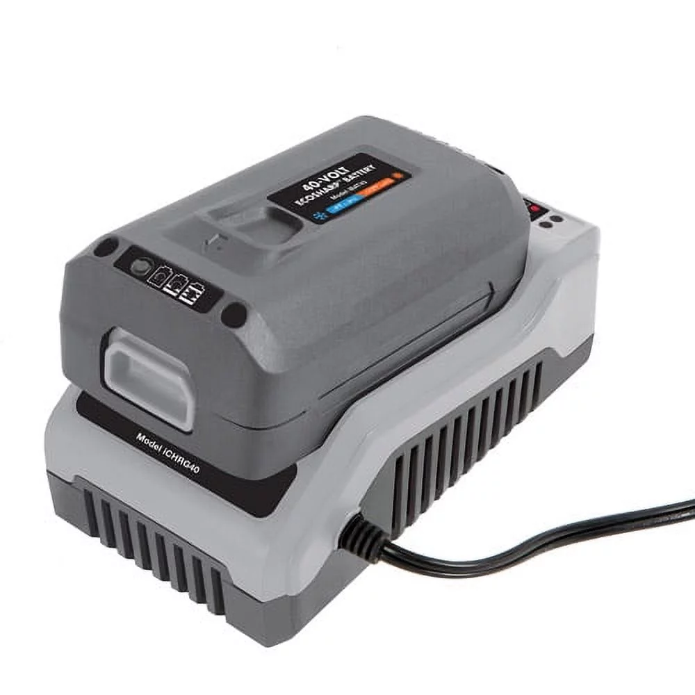 Snow Joe + Sun Joe 40-Volt Certified Authentic Lithium-ion Battery Charger - Inhomebuy