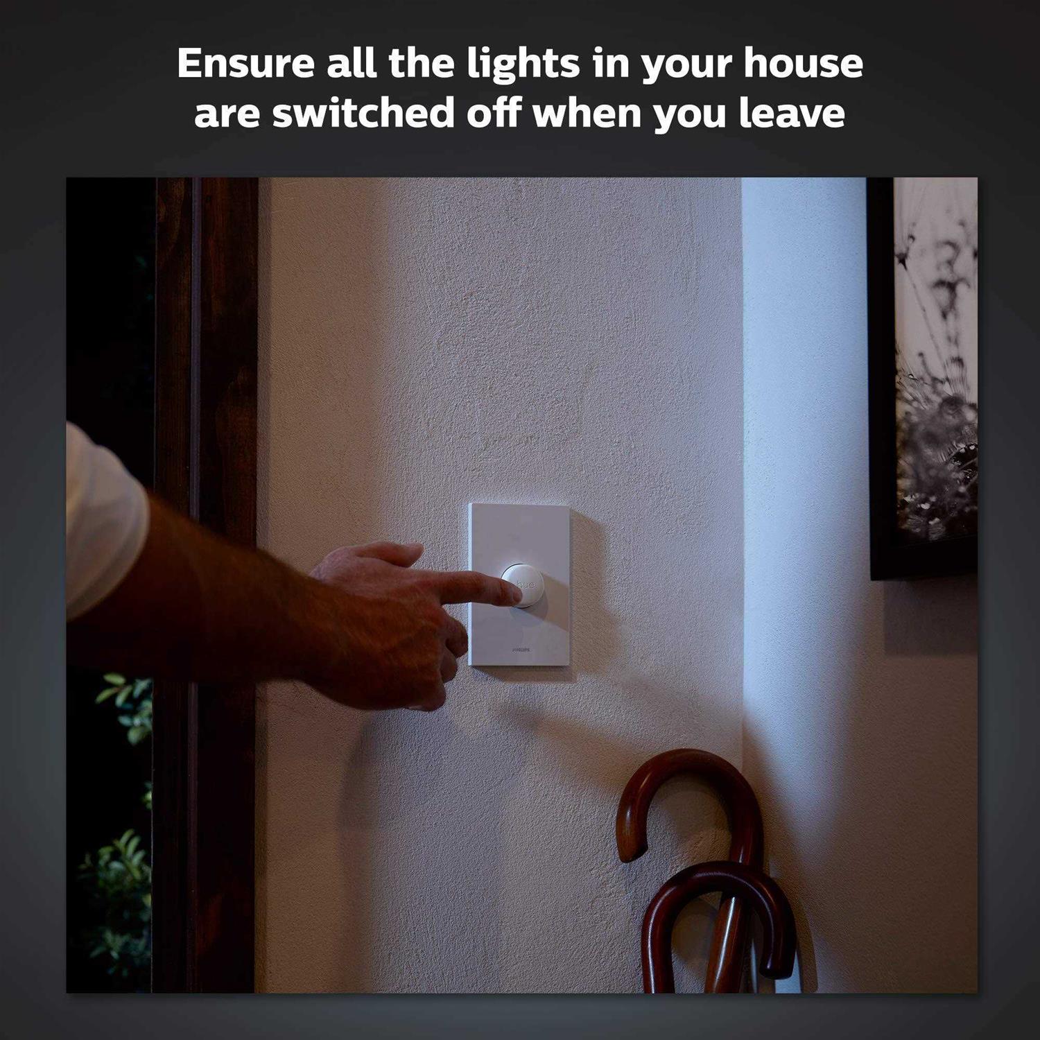 Philips Hue Outdoor Low Voltage Cable Extension - Inhomebuy