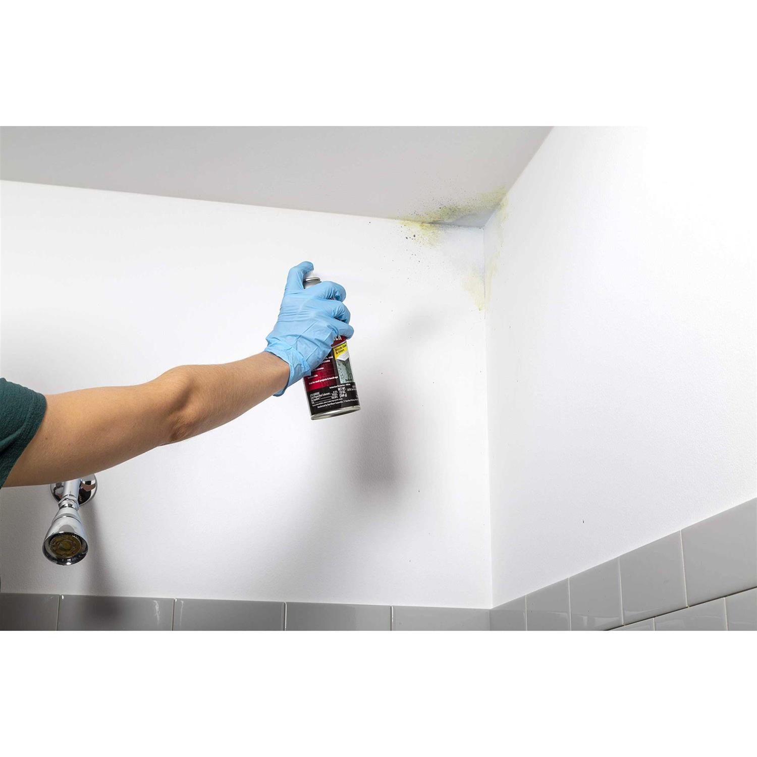 Zinsser Mold Killing Primer 276049 - Inhomebuy