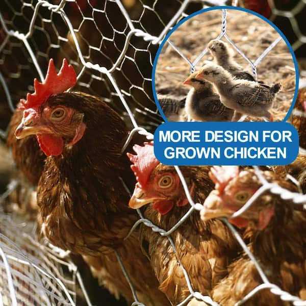 Fencer Wire 20-Gauge Poultry Netting with 2 in. Mesh - Inhomebuy