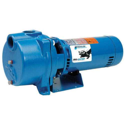 Fill-Rite FR1614 Portable Fuel Transfer Pump - Inhomebuy