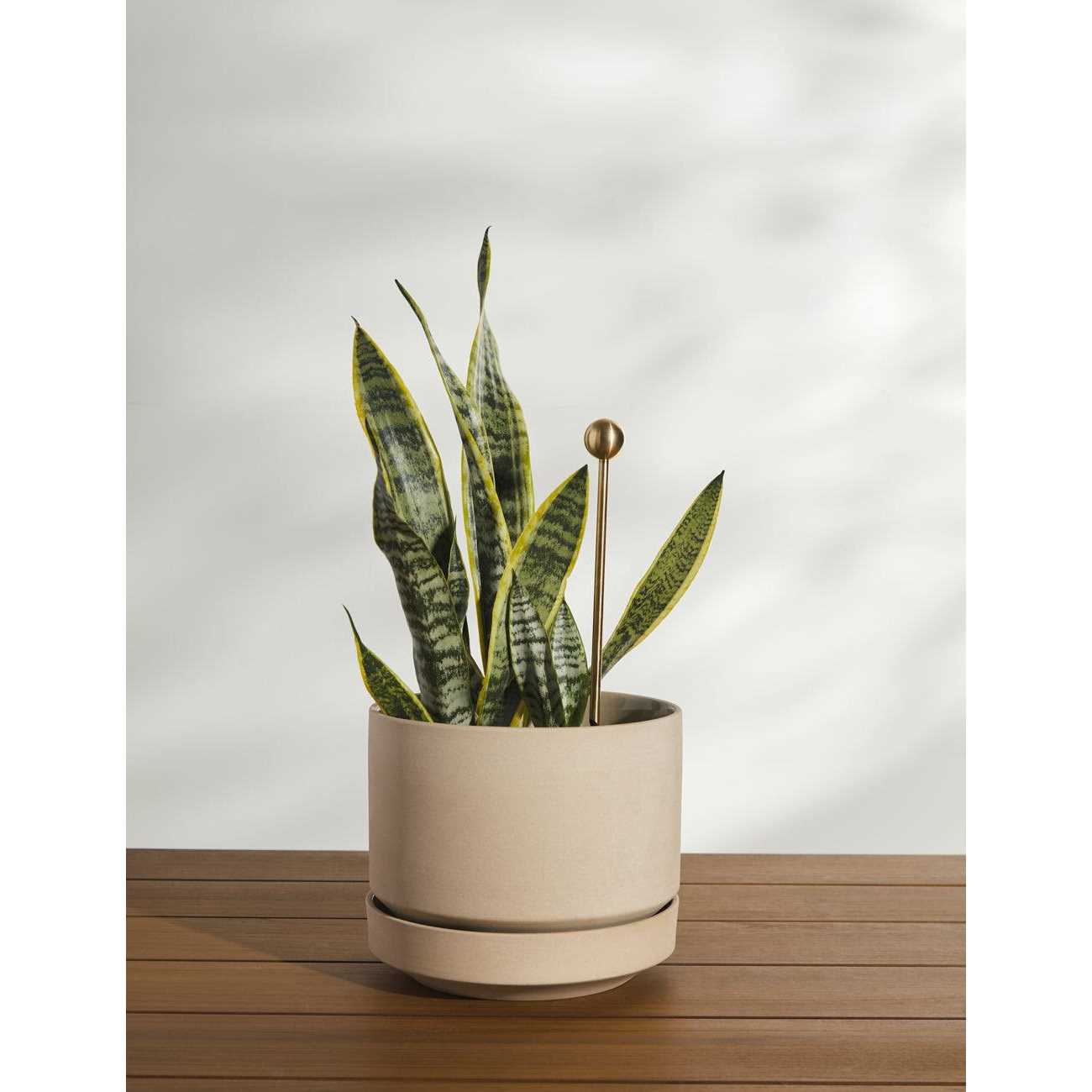 Gtongoko Fence Post Driver Rammer Heavy Duty Hand Post Pounder with Handle for U Fence Post - Inhomebuy