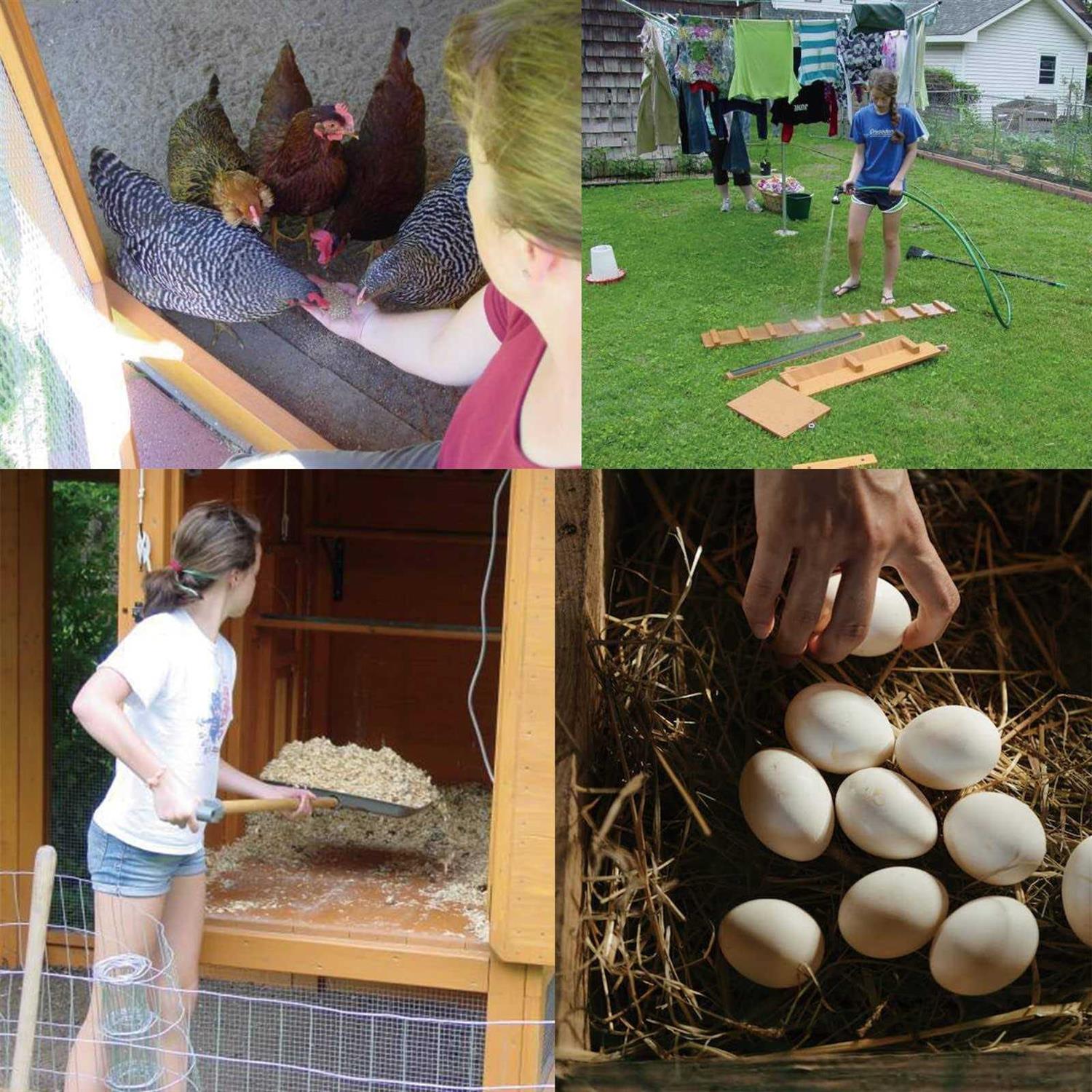 LAN JIA 1/4 Hardware Cloth 36inch x 50foot 23 Gauge Hot Dip Galvanized After Welding Chicken Wire Mesh Roll Galvanized Wire Mesh Roll Garden Fencing - Inhomebuy