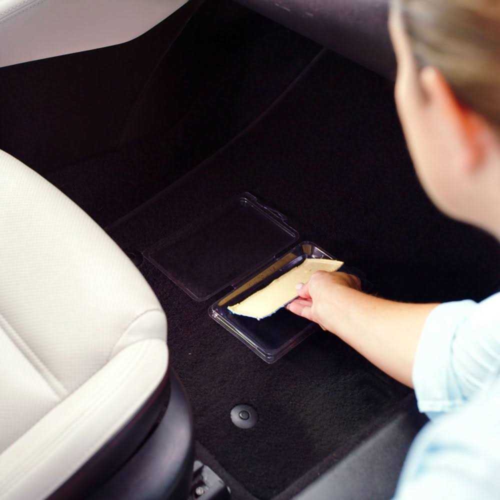 Dead Scent Cabin, Camper or RV Odor Eliminator - Inhomebuy