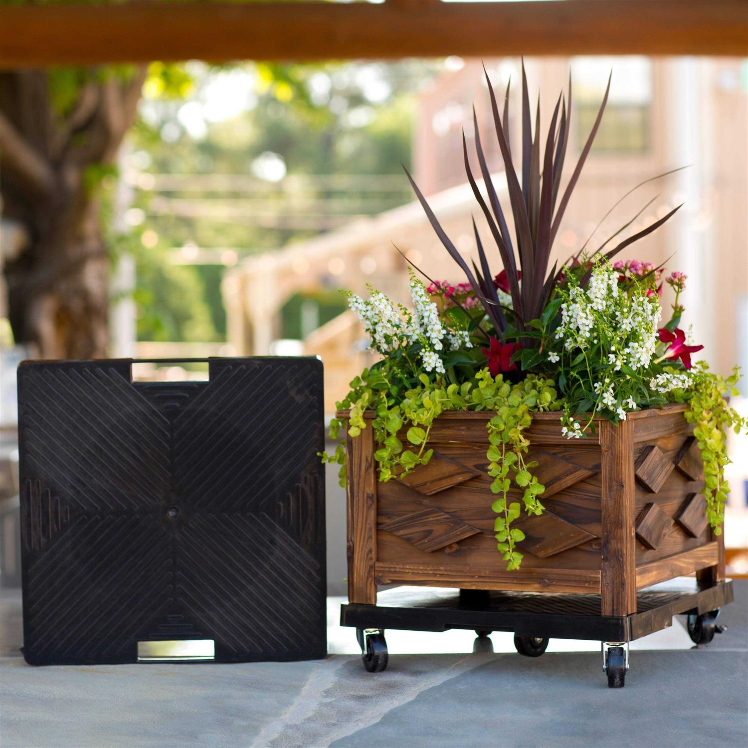 Detex ECL-230D Alarm Exit Control Lock Panic Alarm - Inhomebuy