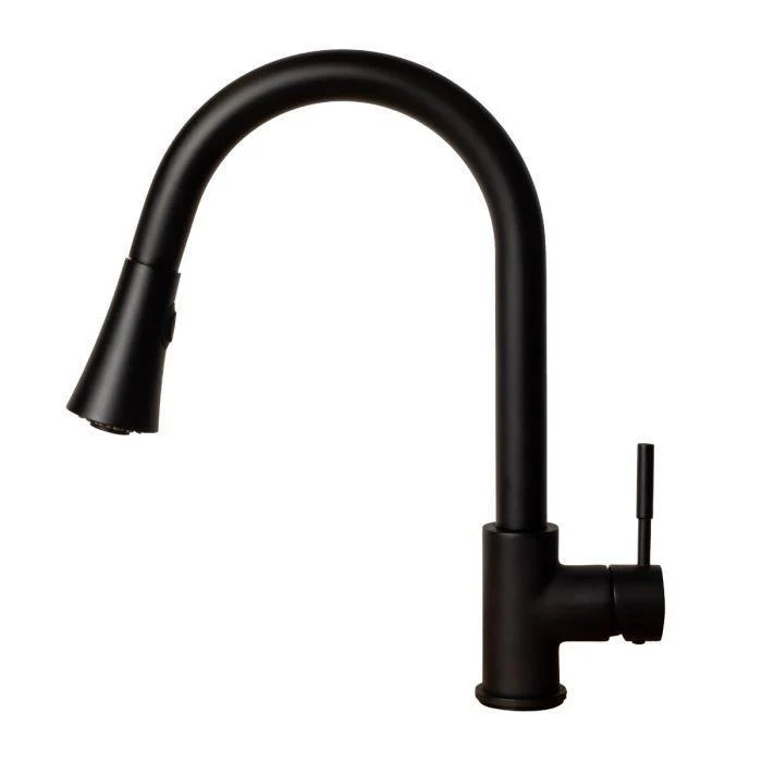 ZLINE Edison Kitchen Faucet, EDS-KF-MB - Inhomebuy