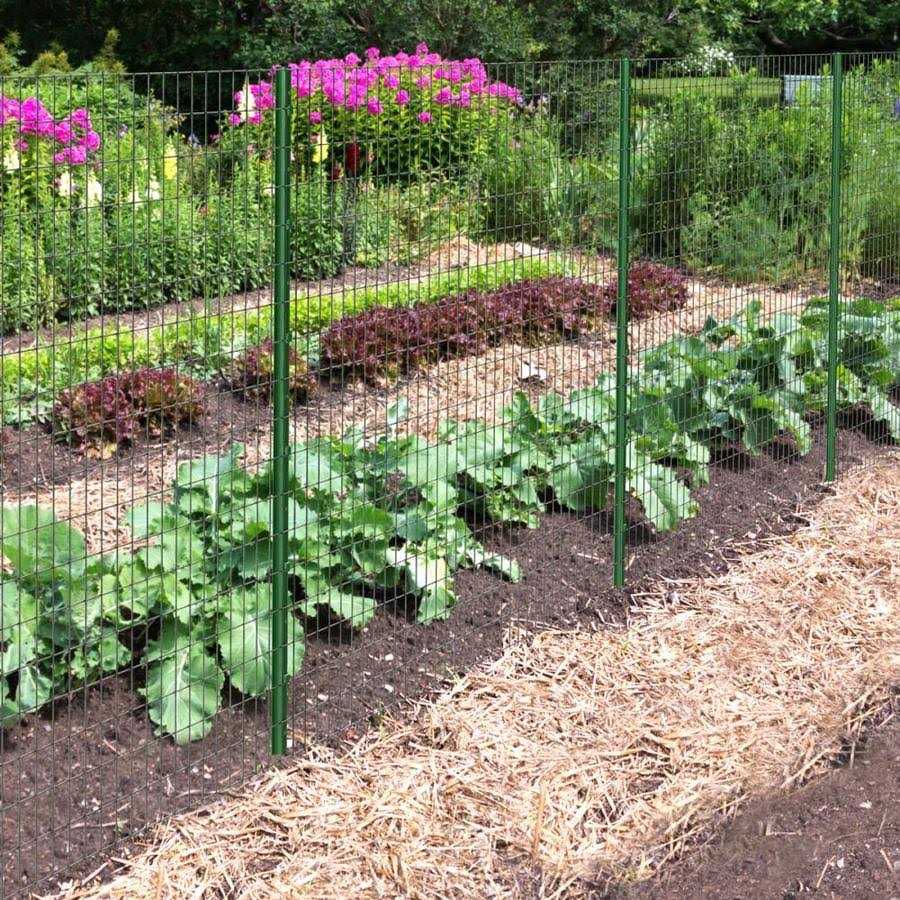 Garden Zone Jasmine Garden Border Fence - Inhomebuy