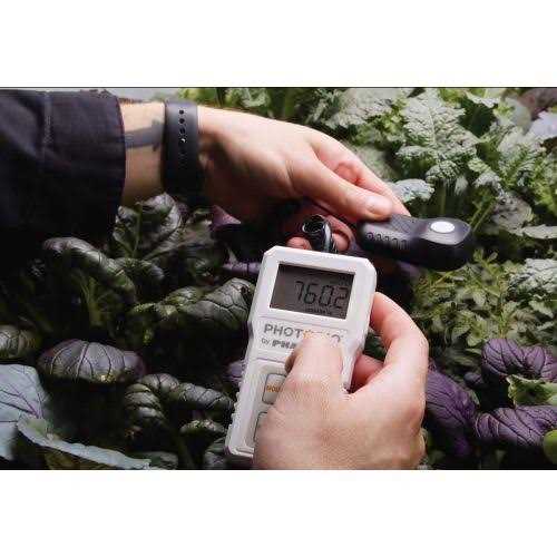 Phone Line Splitter RJ11 Male to Female Two Way Phone Line Splitter Converter RJ11 6P4C Plugs for Telephone - Inhomebuy