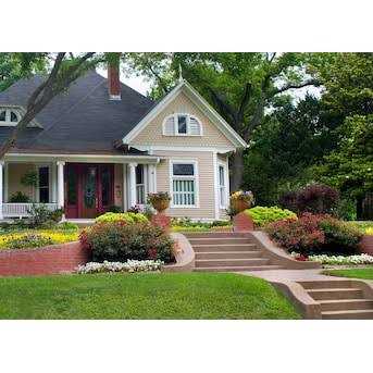 Daich RollerRock 1 gal. Self-Priming Exterior Concrete Coating - Inhomebuy