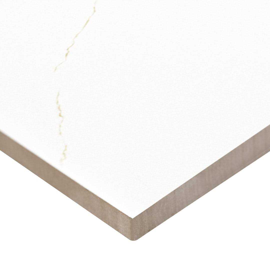 MSI Miraggio 24 in. Matte Porcelain Floor and Wall Tile - Inhomebuy