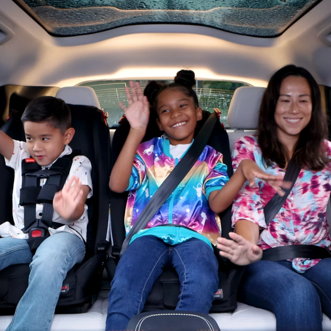 Diono Radian 3R All-in-One Convertible Car Seat, Slim Fit 3 Across, Black Jet - Inhomebuy