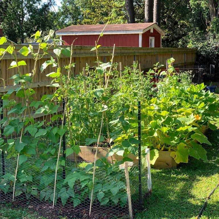 Garden Zone Galvanized Economy Fence - Inhomebuy