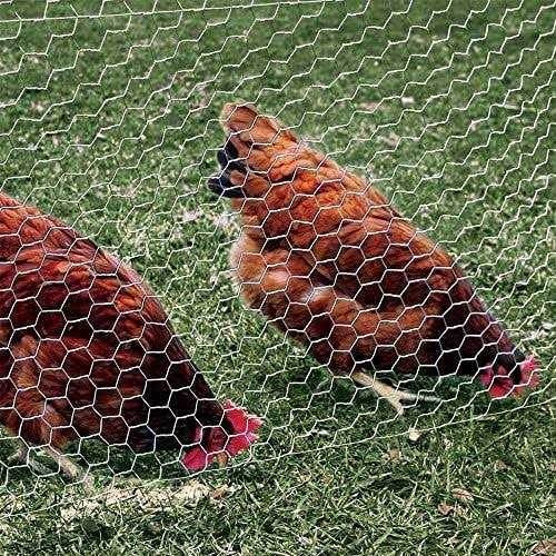 Fencer Wire 20-Gauge Poultry Netting with 2 in. Mesh - Inhomebuy