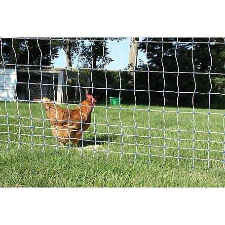 Starkline 3.5 ft. x Premium Electric Poultry Netting - Inhomebuy
