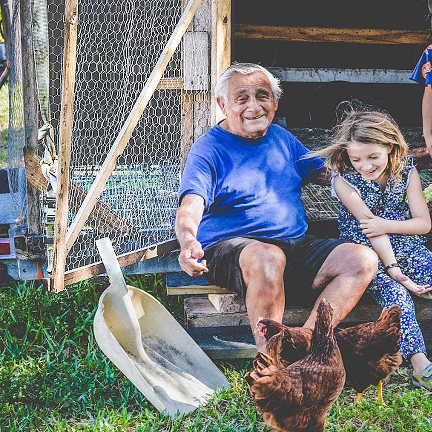 Fencer Wire 20-Gauge Poultry Netting with 2 in. Mesh - Inhomebuy