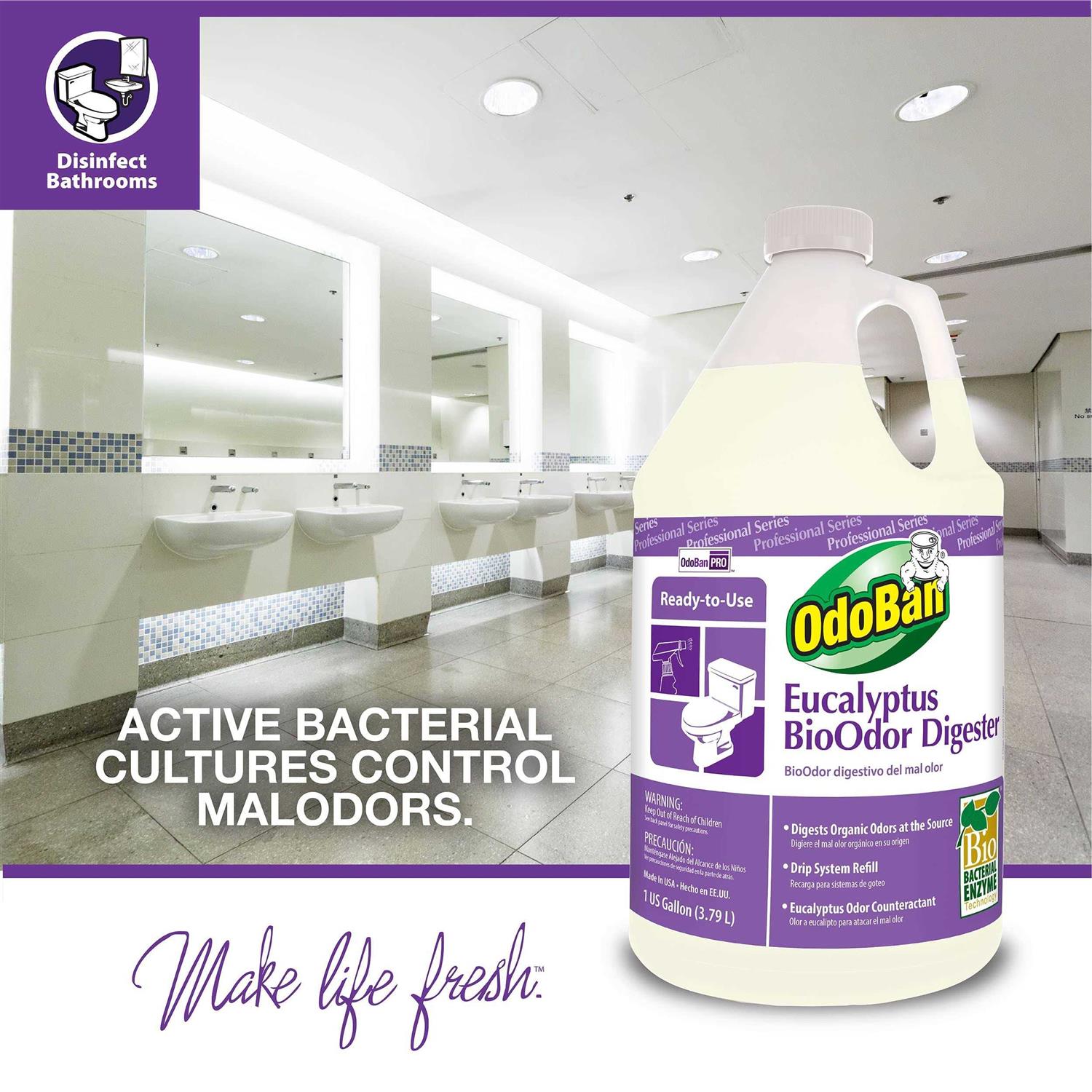 ODL Rain 8 in. x 1 in. with White Frame View Side Lite - Inhomebuy