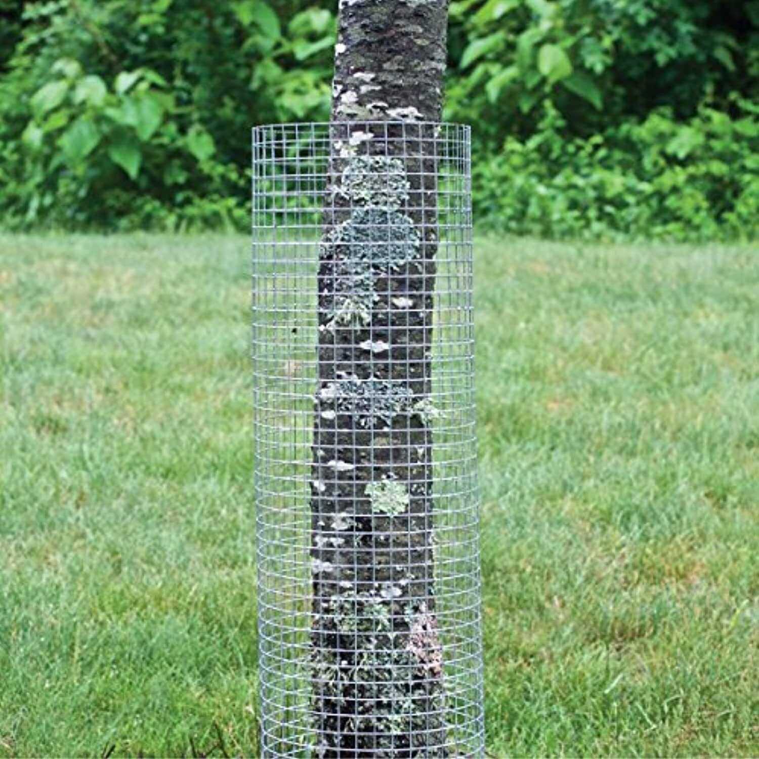 Garden Craft 24in H x 5ft L Galvanized Hardware Cloth with 1/2 in. Openings - Inhomebuy