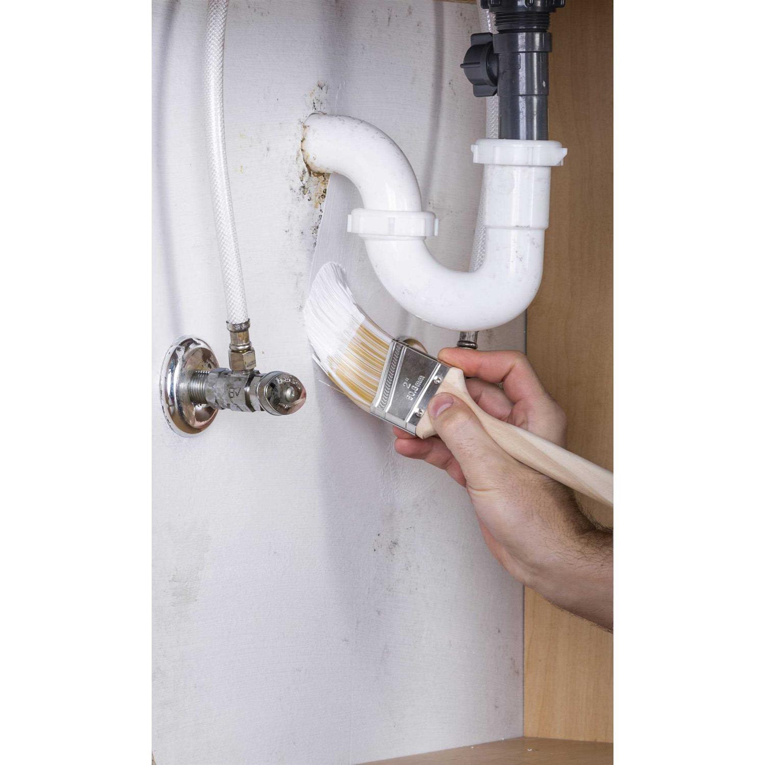 Zinsser Mold Killing Primer - Inhomebuy