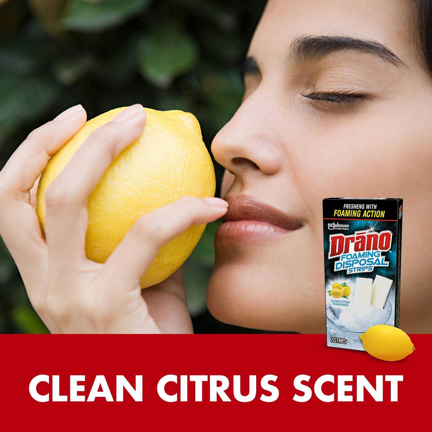 Drano Foaming Disposal Strips - Inhomebuy