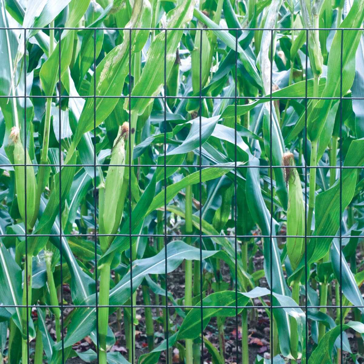 Garden Craft Galvanized Poultry Netting 48 x 25 - Inhomebuy