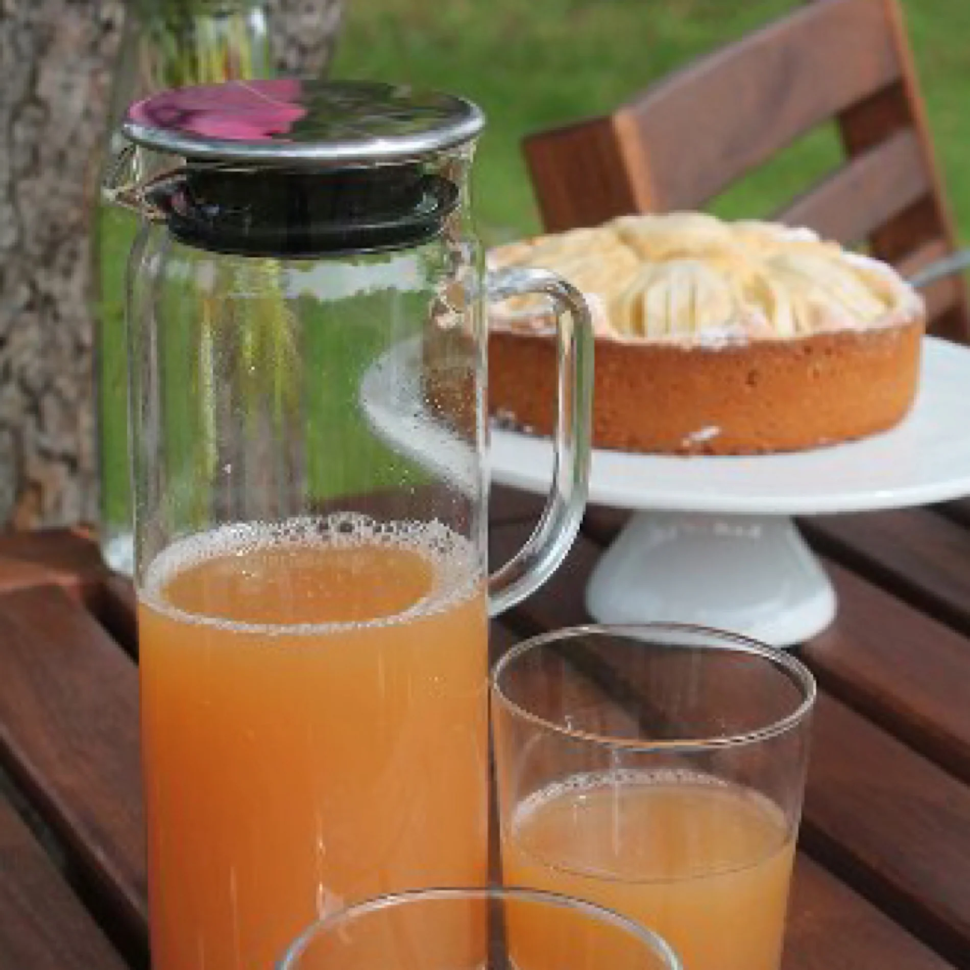 Juice jug Pitcher- 1 L - Inhomebuy