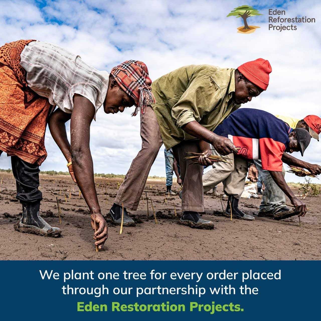 Eversprout Utility Hook with Extension Pole - Inhomebuy