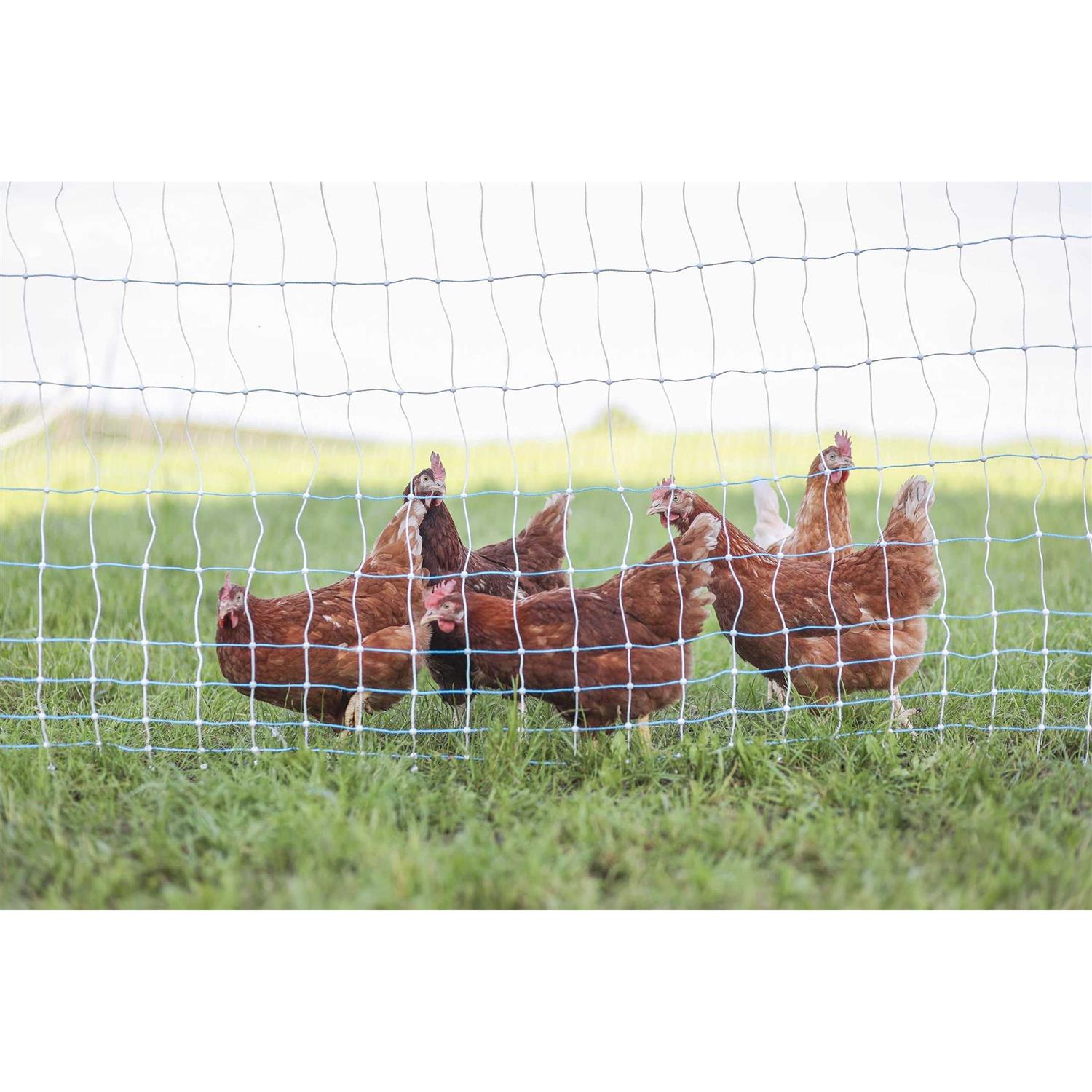 Starkline 3.5 ft. x Premium Electric Poultry Netting - Inhomebuy