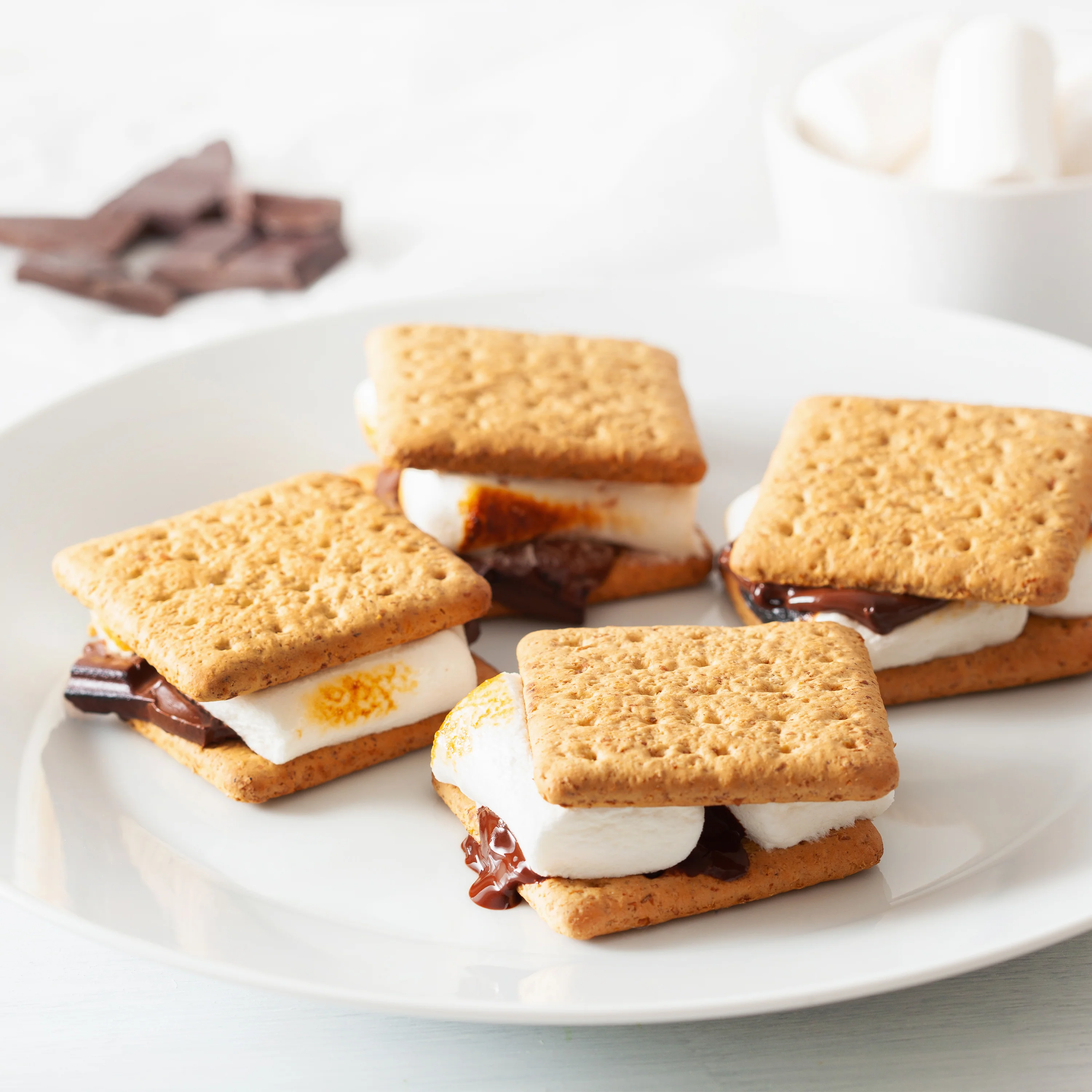 Indoor Electric Stainless Steel S'mores Maker with 4 Compartment Trays for Graham Crackers, Chocolate, Marshmallows and 2 Roasting Forks - Inhomebuy