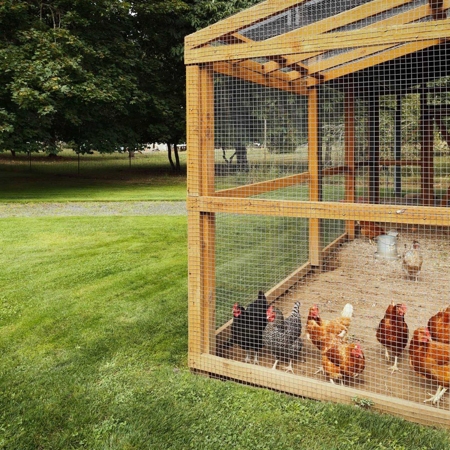 forimo 50′ Hardware Cloth Gauge Black Vinyl Coated Welded Fence Mesh for Home and Garden Fence and Home Improvement Project - Inhomebuy