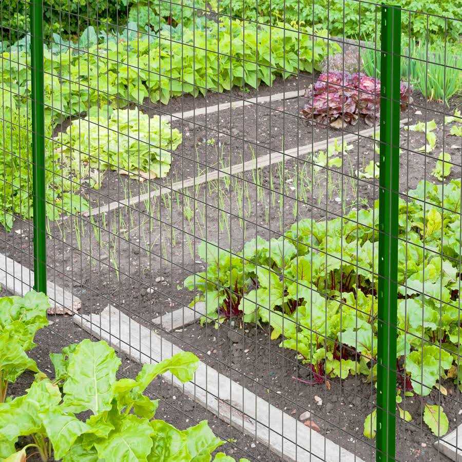 Garden Zone Light Duty Fence Post - Inhomebuy