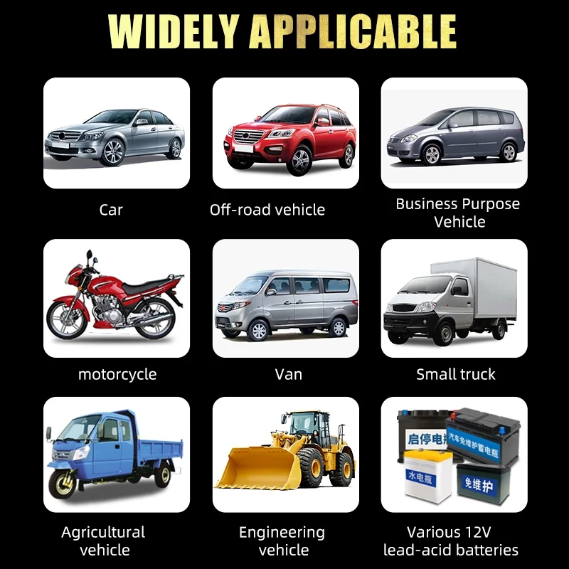 Paddsun Car Battery Charger Smart Automatic 12V/24V Lead-acid AGM GEL& Lithium LiFePO4 - Inhomebuy