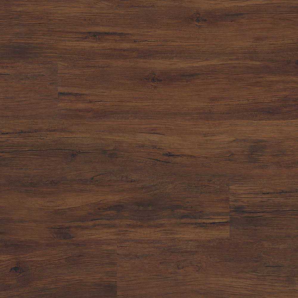MSI Encaustic Taylora 8 in. x 8 in. Matte Porcelain Floor and Wall Tile - Inhomebuy