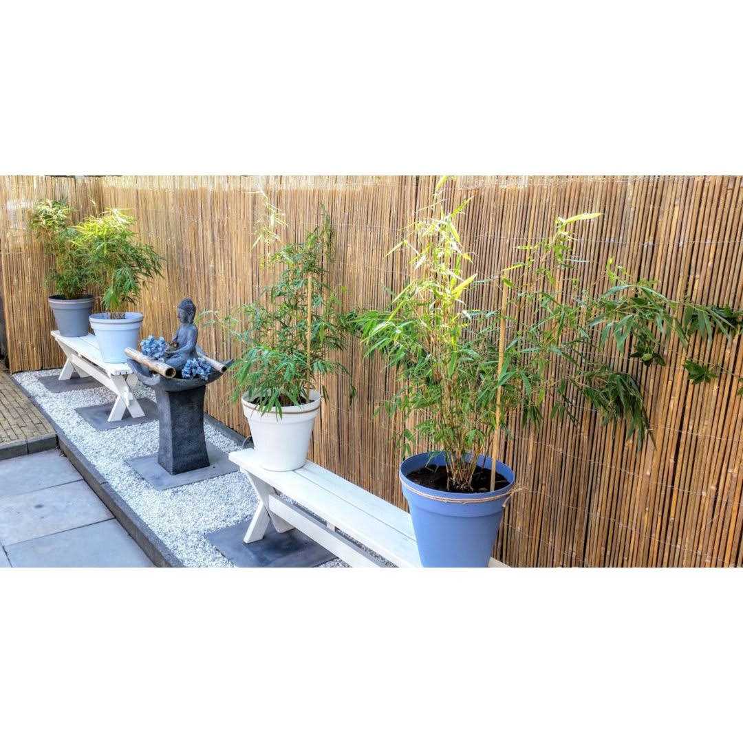 MGP Bamboo Slat Fence - Inhomebuy