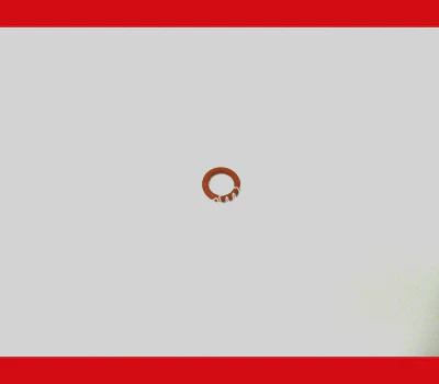 O-Ring (Red) for BAR-41, EC-702, EAM-3*00, ESAM-2*00, ESAM-3*00, ESAM-5*00 [DISCONTINUED] - Inhomebuy