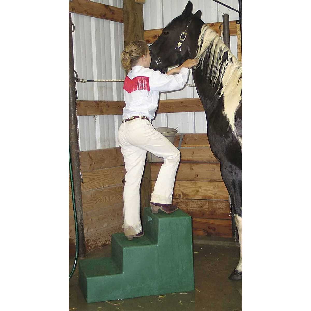 High Country Plastics 25 Gallon Upright Water Caddy - Inhomebuy