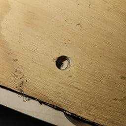 Woodriver Paint Brush Set 12-Pieces - Inhomebuy