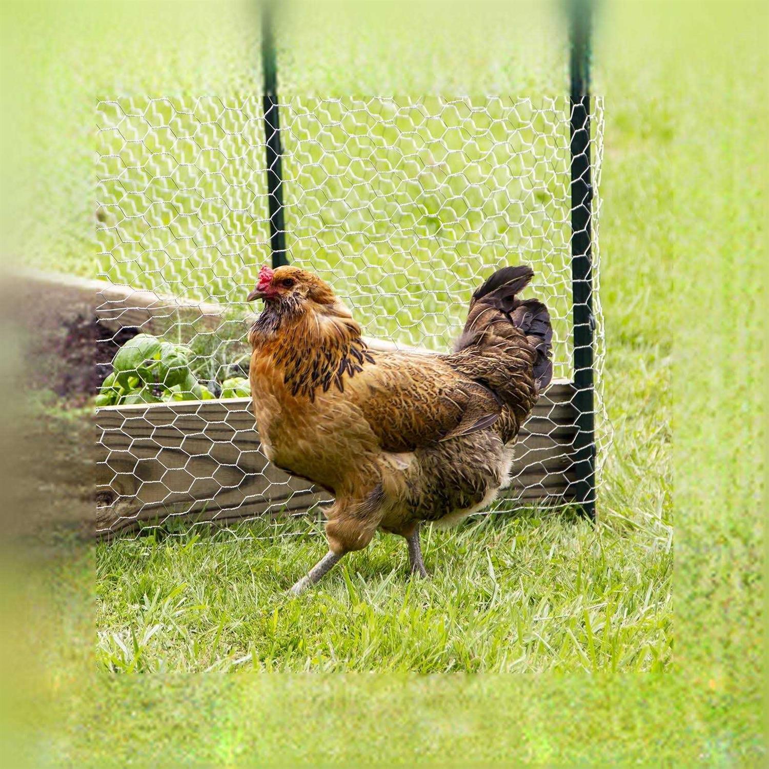 Garden Zone Light Duty Fence Post - Inhomebuy