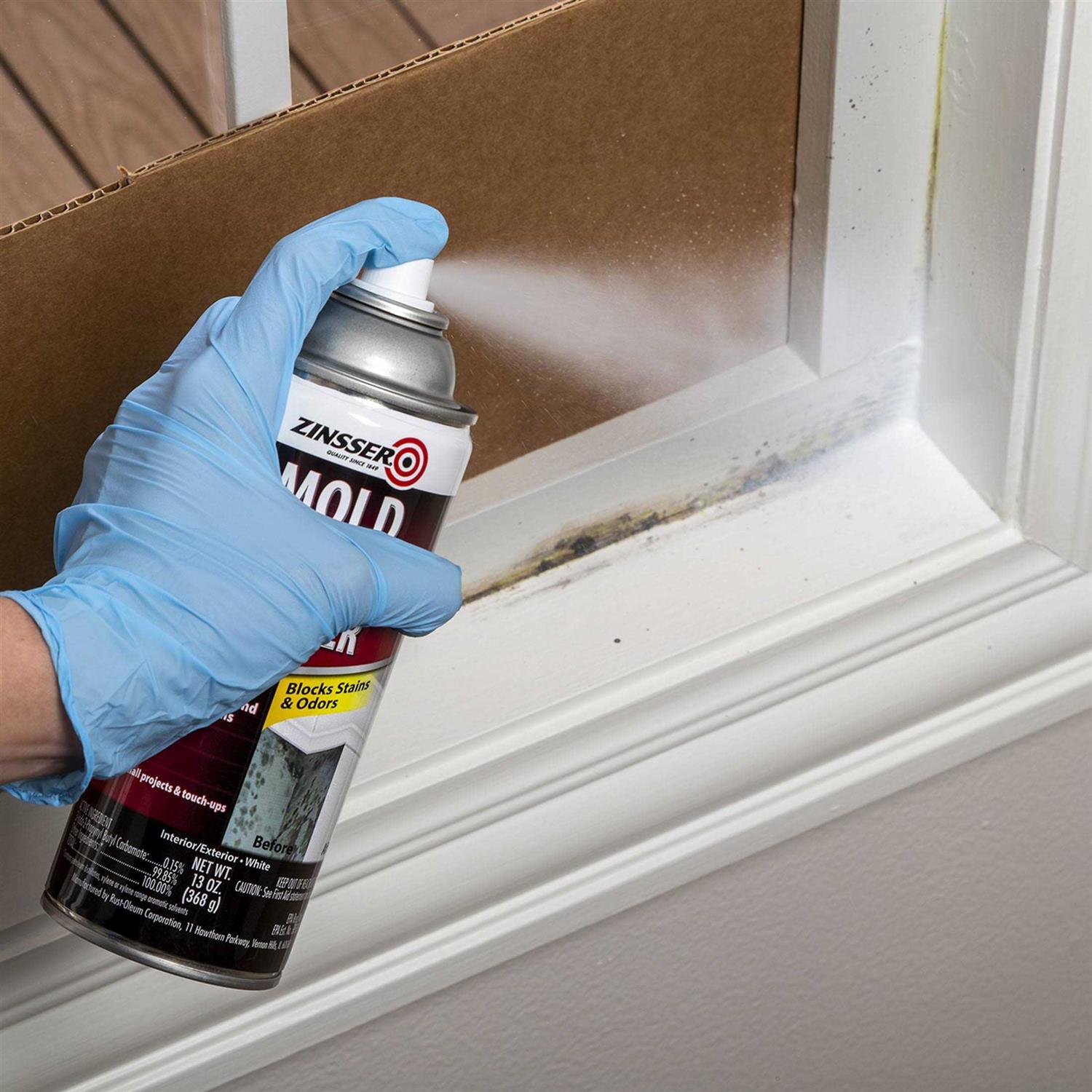 Zinsser Mold Killing Primer 276049 - Inhomebuy