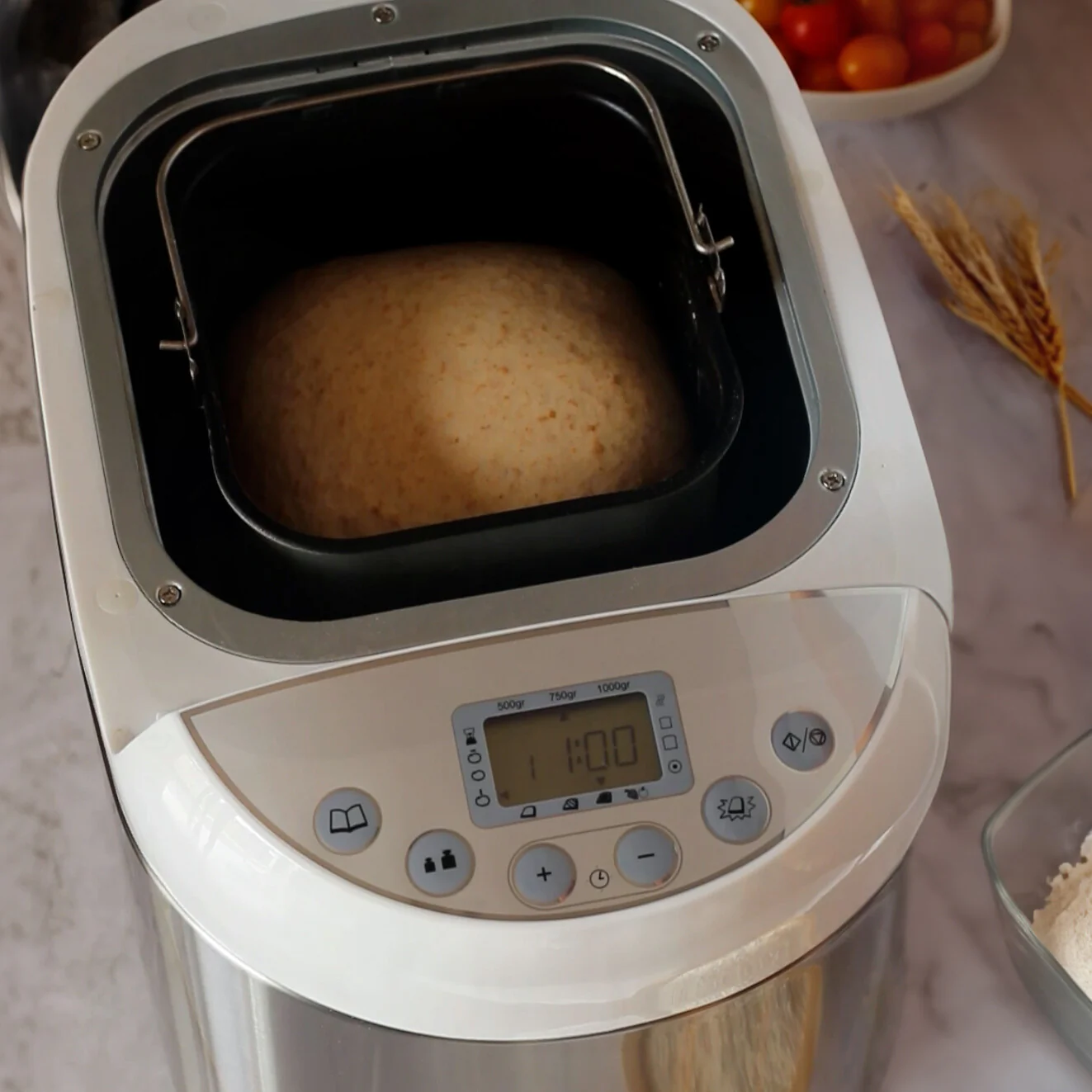 Bread Maker Panexpress 1000 Metal 550W - Inhomebuy