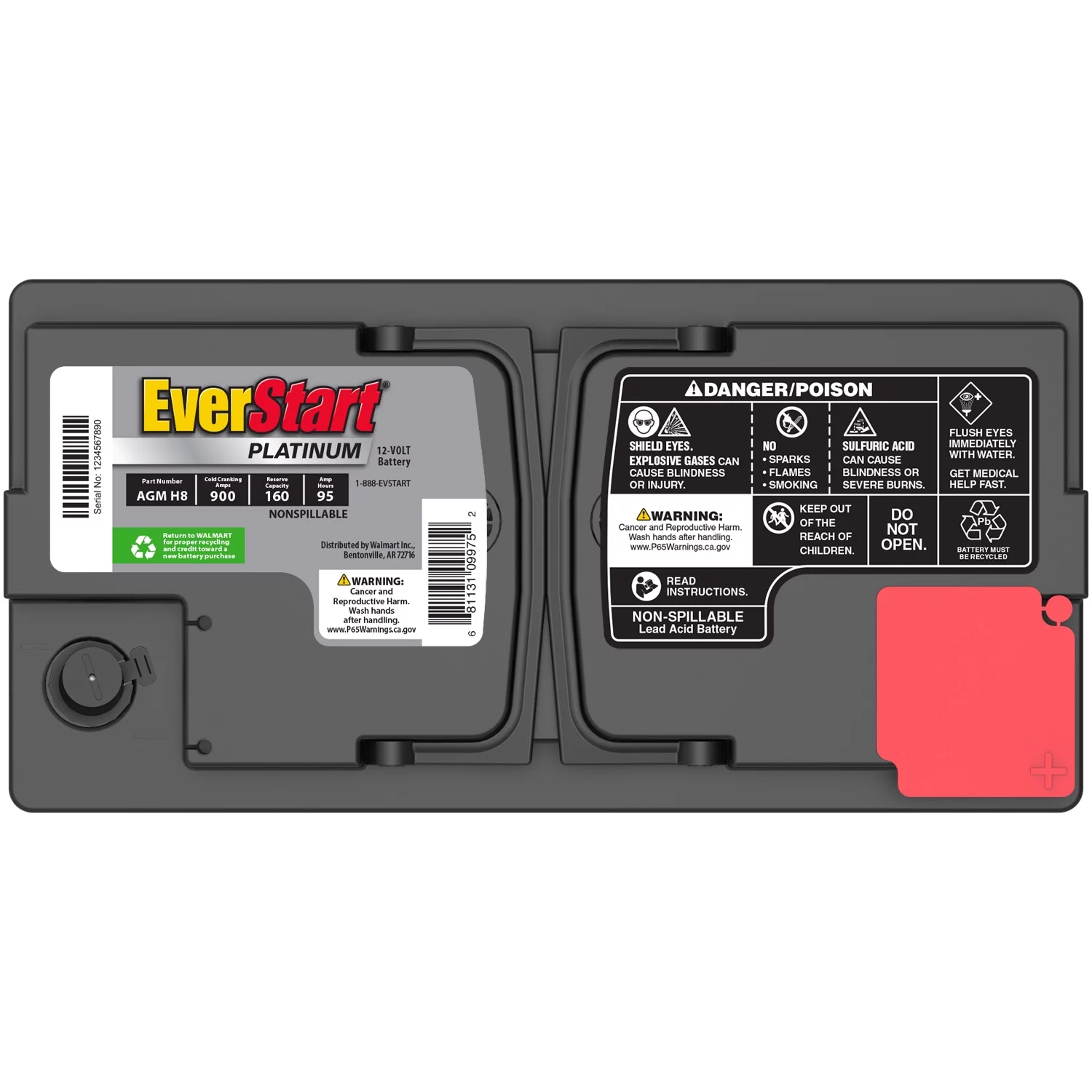 EverStart Platinum BOXED AGM Battery, Group Size H8 12 Volt, 900 CCA - Inhomebuy