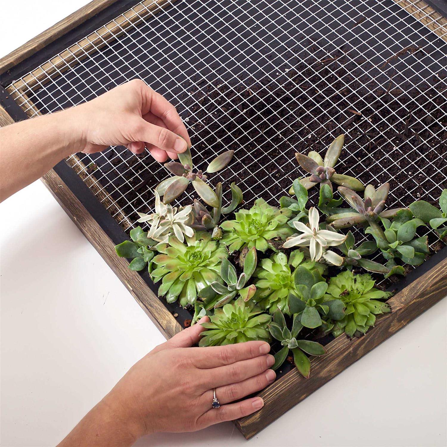 Garden Zone Hardware Cloth - Inhomebuy