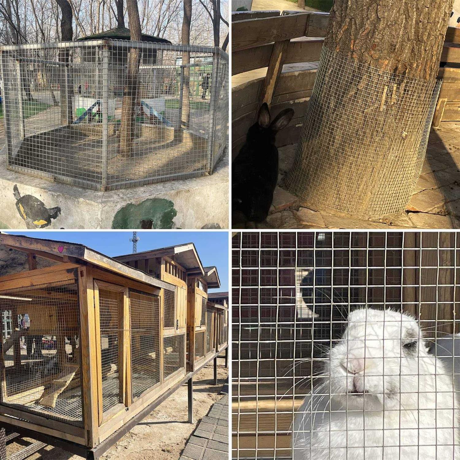 Seboss Hardware Cloth 1/2 inch 19 Gauge Hot Dip Galvanized After Welding - Inhomebuy