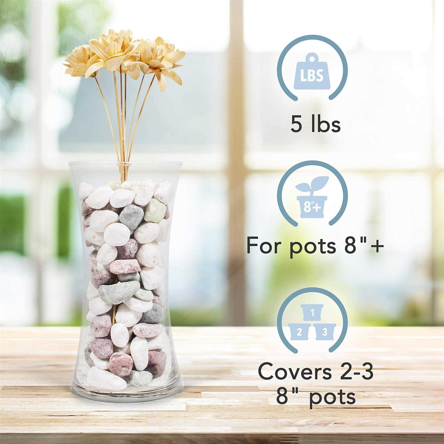 Williams WS-476 6 Piece Adjustable Pin Spanner Wrench Set - Inhomebuy