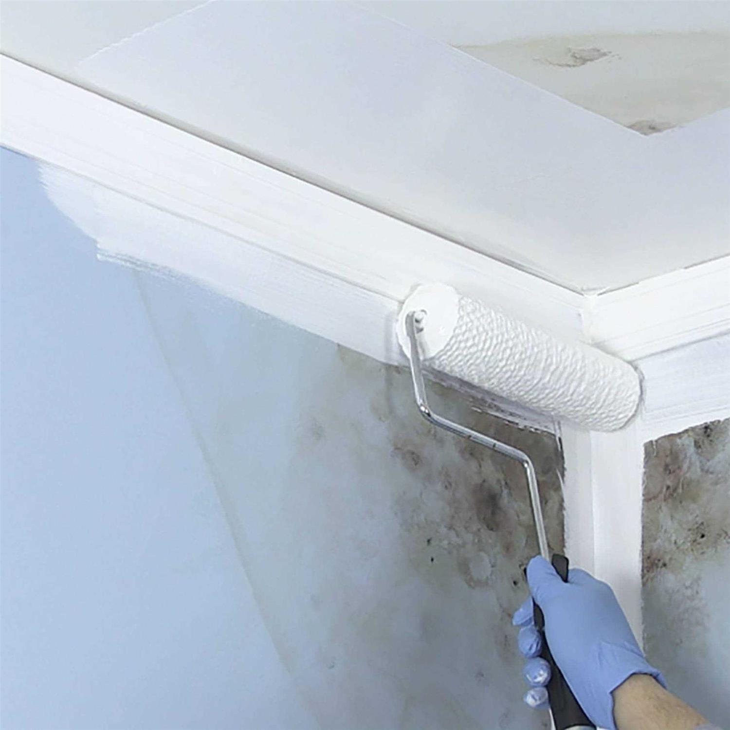 Zinsser Mold Killing Primer - Inhomebuy