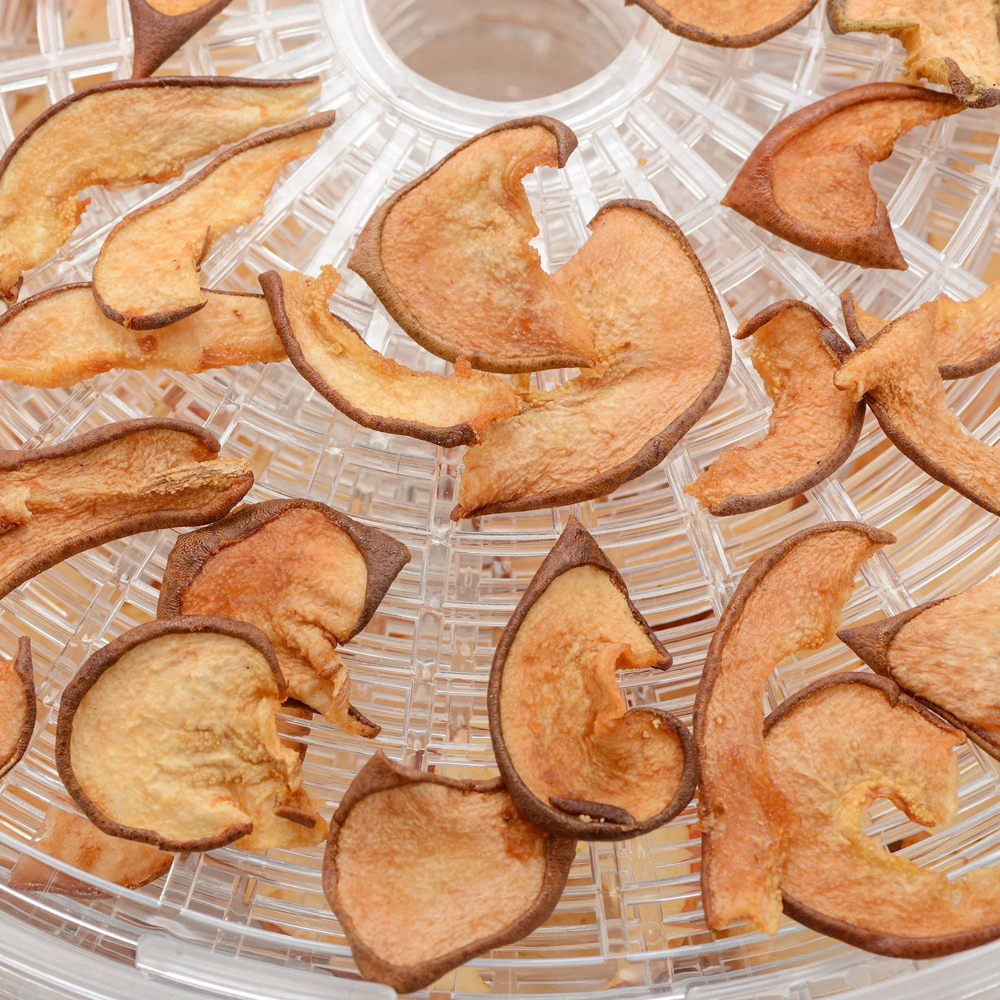 Dehydrator Cooker 5 Baskets 245W - Inhomebuy